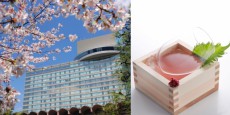 五感で春を満喫。ホテルのバーで嗜む、桜の季節ならではのカクテル