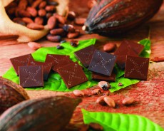 カカオの産地が異なる4種のチョコレートを食べくらべ。「ロイズオリジンチョコレート[カカオ70％]」が登場！