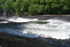 日本の滝100選にも選ばれた「吹割の滝」