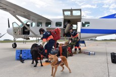 北海道地震で災害救助犬とレスキュー隊を派遣し調査を開始