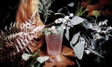 「飲む植物園×東京茶寮」&#8221;オリジナル煎茶モクテルが楽しめる&#8221;2日間限定イベント開催！