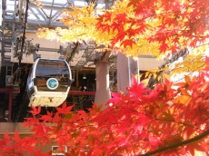 早起きして紅葉が見頃の箱根へ！箱根大名行列も楽しもう！