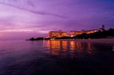 沖縄の夜が光り輝く〜「ホテル日航アリビラ」のイルミネーション“Las Luces Feliz”スタート