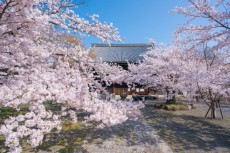 これは泊まりたい！　京都の宿坊「立本寺 四神閣」がオープン