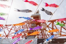 東京タワーで元気に泳ぐ！333匹の「鯉のぼり」と巨大「さんまのぼり」が今年も展示スタート