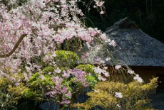 京風数寄屋造りの離れの宿「離れ家の湯宿 古奈別荘」