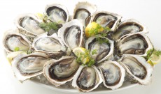 旬を迎える岩牡蠣を満喫！6月9日は「ゼネラル・オイスターの岩牡蠣の日」