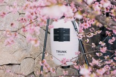 桜の季節を静かに楽しむ…TRUNK（HOTEL）の限定メニューが逸品揃い