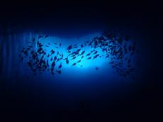沖縄の「青の洞窟」が1位！世界の名所そっくりさんランキング発表