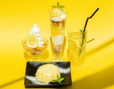 夏限定の「レモンスイーツ」が名古屋のカフェに登場！心も体もリフレッシュ