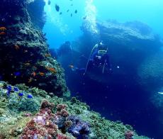 和歌山での遊び「アウトドア・フルーツ・キャンプ・温泉」を一気に探す新サイト