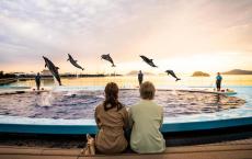 香川県・宇多津町「四国水族館」夏季限定夜9時まで「夜の水族館」開催中