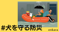 防災の日、自然災害から犬を守るための３つのアクション「#犬を守る防災」