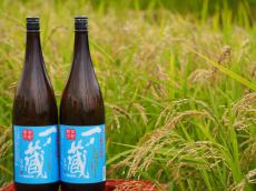 新米新酒「一ノ蔵 本醸造しぼりたて生原酒」原料米「やまのしずく」の稲刈りスタート