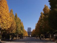 11月中旬～12月上旬が見頃、東京・千代田区おすすめ紅葉スポットガイド