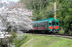 高野山観光列車「天空」貸切、南海難波駅から極楽橋駅を直通運転する春の旅