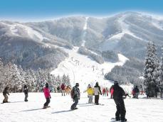 福井「スキージャム勝山」1日300トンの造雪能力を誇る人工造雪機本格稼働