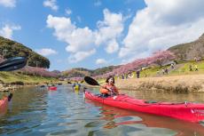 河津桜を川面から見上げる非日常体験！休暇村南伊豆「みなみのさくらカヤックツアー」