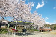 桜でととのうin埼玉！花見しながら“絶景エクストリームサウナ”を楽しむ