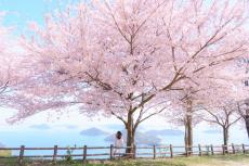 この春は香川・直島が面白い！プレミアムな宿の誕生と3年に一度の芸術祭開催