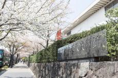 皇居の桜とともに、季節にちなんだ名作を満喫！東京国立近代美術館の春まつり