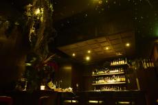 銀座のジャングルに行こう。ミクソロジーコンペ世界大会で優勝した清崎雄二郎さんの店「Bar LIBRE GINZA」