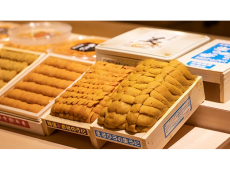雲丹9種の食べ比べコースあり、「鮨青海 銀座店」で極上の江戸前鮨を味わおう