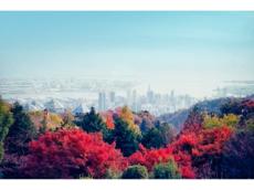 自然の織りなす情景を楽しもう！神戸の紅葉の名所「布引の紅葉」が見ごろ