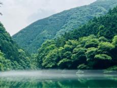 大自然の中でととのう！南関東唯一の湖が水風呂であるサウナ施設＜白丸village＞が奥多摩町にオープン