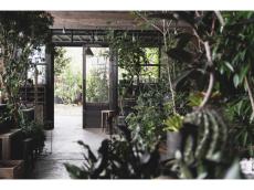 東京・丸ビルに大人心を刺激する“上質な園芸店”「garage TOKYO」がオープン。生活に植物を取り入れたい人へ