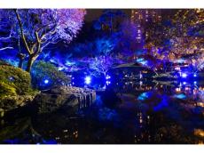 ＜2月まで開催＞八芳園の「TOKYO BLUE GARDEN WINTER FESTIVAL 2023」で都会の喧噪を忘れるひとときを