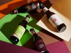 サンクトガーレンがチョコレートビール4種を数量限定発売。2023年の限定フレーバーはピスタチオ