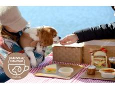 埼玉・飯能の「メッツァビレッジ」で愛犬と過ごす。湖畔のドッグラン＆カフェショップが期間限定でオープン！