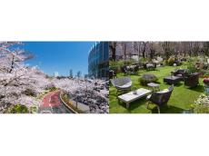 六本木・東京ミッドタウンで開催、大人の春デートで行きたい花とアートのイベント「MIDTOWN BLOSSOM 2023」