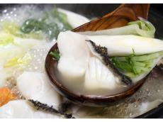 超希少な高級魚「クエ」をお取り寄せ！愛媛県が誇る逸品を、自宅でいつでも味わえる贅沢