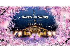 五感全てで、桜×日本の伝統文化を楽しむ！「NAKED FLOWERS 2023 桜世界遺産・二条城」開催