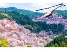 プライベートに花見を楽しむ！貸切ヘリで桜の名所を飛ぶ「吉野千本桜お花見ヘリコプター遊覧」
