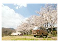 満開の桜×アウトドアサウナ。埼玉の「COMORIVER（コモリバ）」でお花見サウナフェスを楽しむ