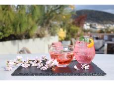 京都を360°見渡す絶景テラスも！桜色に染まった「ノーガホテル 清水 京都」で春を満喫してみたい