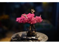 ＜新宿マルイ メンにて開催＞枯れた盆栽をアートに昇華させた「Re盆栽」のポップアップ＆ワークショップ