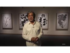 写真家・菅原一剛さんがNHK番組で牧野富太郎博士を語る。連続テレビ小説でも描かれる植物標本の美と魅力