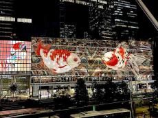 東京・八重洲でデジタルアートを楽しむ夜デート！「デジタル掛け軸 八重洲夏金魚」が出現