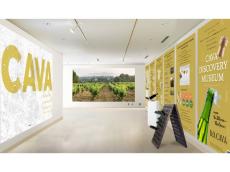スペインのスパークリングワイン「CAVA」の魅力とは。東京・六本木で「CAVA DISCOVERY MUSEUM」開催