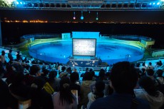 「夜の水族館」×「リアル謎解きゲーム」がマリンワールド海の中道で12/13より開催！