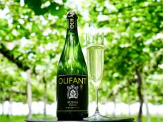 日本ワイン発祥の地、山梨県で生まれたワイン「OLIFANT」の魅力を知るライブ配信イベント