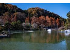 都内最大級「FISH UP 秋川湖」シーズン解禁！大型トラウトを相手にスポーツフィッシング