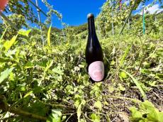 日本産オレンジワインを堪能。GRAPE REPUBLICのフラッグシップワイン「Cuv&#233;e Shinden 2021」が誕生