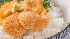北海道の『食』を旅する！絶品グルメランキングTOP10