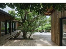 屋久島の宿泊施設「Sumu Yakushima」が国内外15のアワードを受賞！リジェネラティブ建築が世界から注目