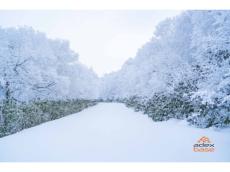 自然条件が整った場所でしか見られない“樹氷”をその目で！北海道・登別温泉の「オロフレ峠半日ツアー」